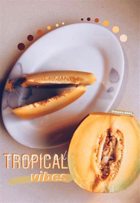 melon TOTO (@melontoto) • Instagram photos and videos.